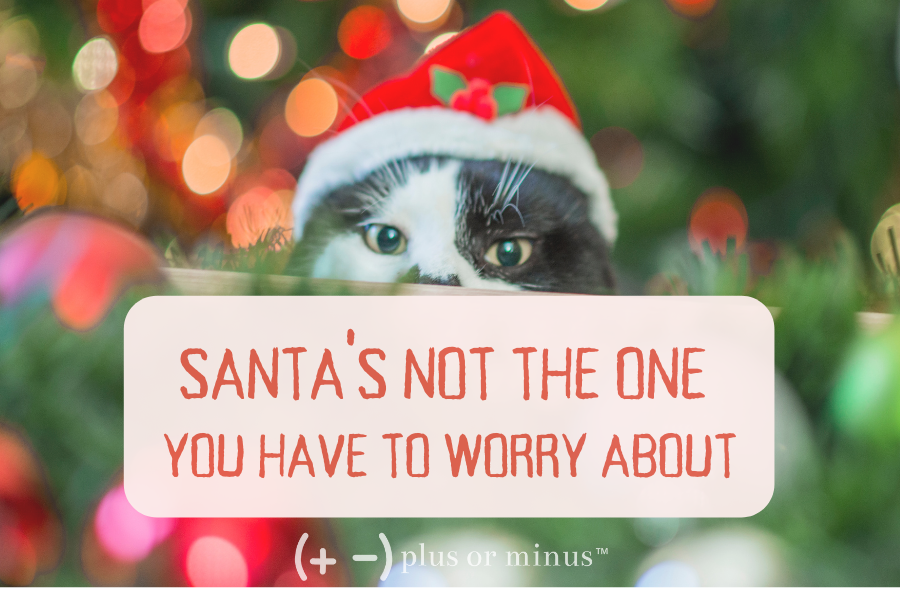 Santa's Not the One You Have to Worry About, Small