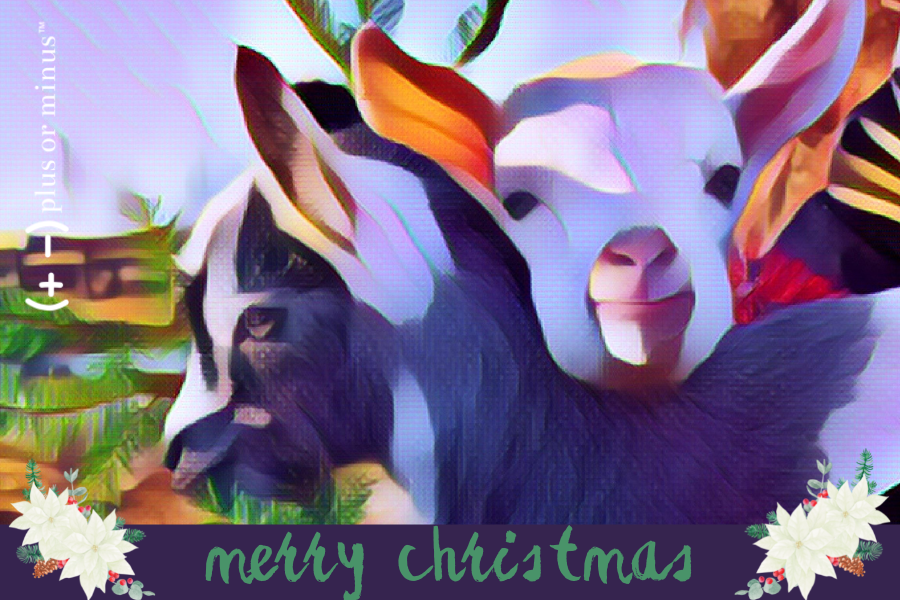 Merry Christmas Goats, Small