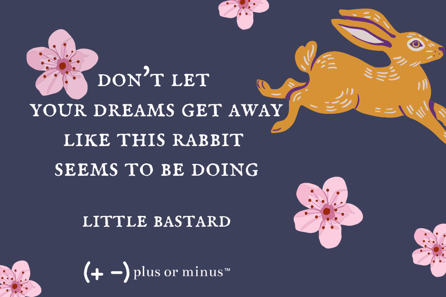 Don't Let Your Dreams Get Away Like This Rabbit